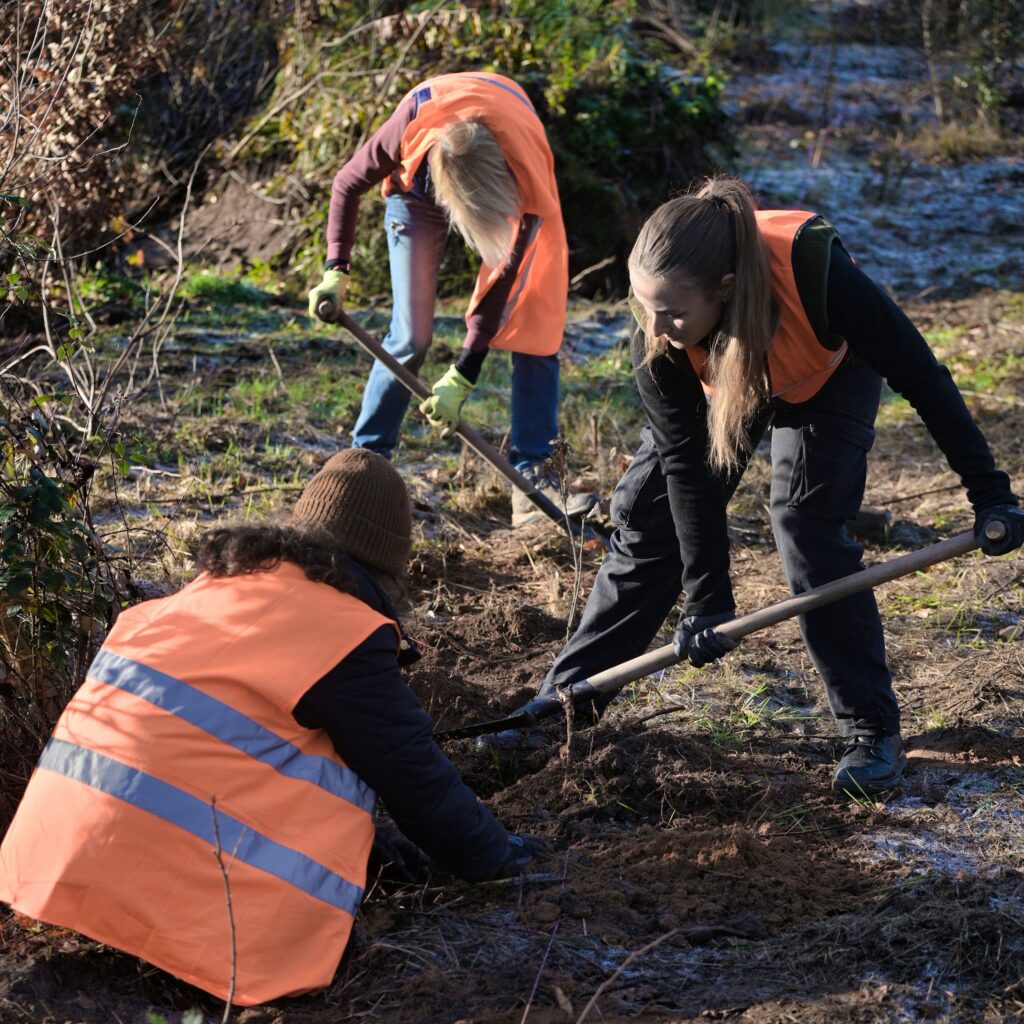 Weltrekordversuch im Bäume pflanzen Weltrekord Bäume Wald Waldfreunde